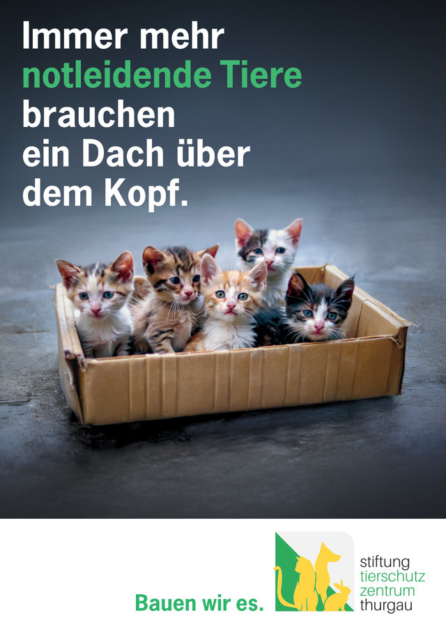 inserat herrenloses tier