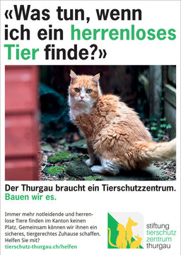 inserat herrenloses tier