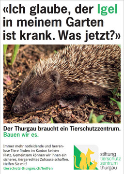inserat igel